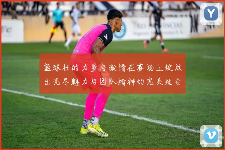 篮球壮的力量与激情在赛场上绽放出无尽魅力与团队精神的完美结合