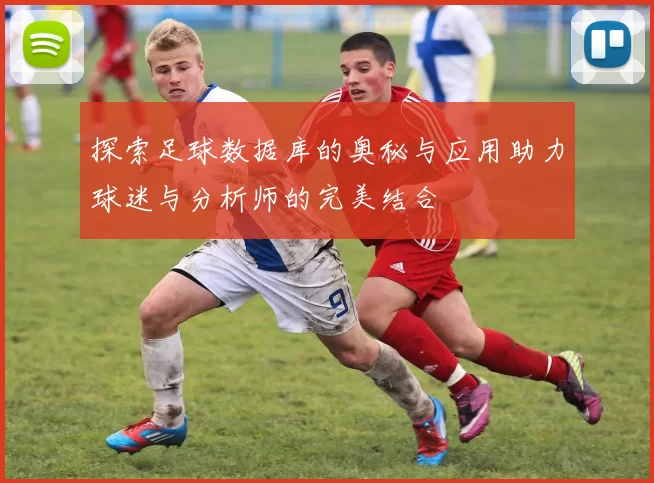 探索足球数据库的奥秘与应用助力球迷与分析师的完美结合