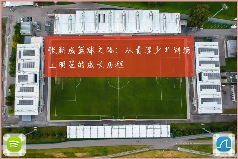 张新成篮球之路：从青涩少年到场上明星的成长历程